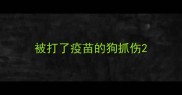 被打了疫苗的狗抓伤