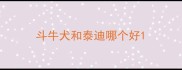 斗牛犬和泰迪哪个好