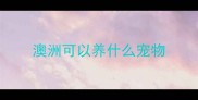 澳洲可以养什么宠物