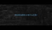 阿拉斯加跟哈士奇什么区别