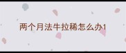 两个月法牛拉稀怎么办