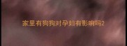 家里有狗狗对孕妇有影响吗