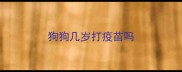 狗狗几岁打疫苗吗
