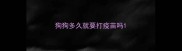 狗狗多久就要打疫苗吗