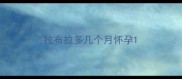 拉布拉多几个月怀孕
