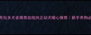 怀化拉布拉多犬舍推荐血统纯正幼犬暖心推荐新手养狗必看指南