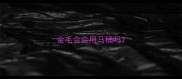 金毛会会用马桶吗