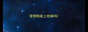 宠物狗能上地铁吗