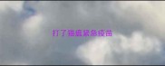 打了猫瘟紧急疫苗
