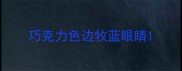 巧克力色边牧蓝眼睛