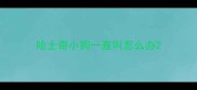 哈士奇小狗一直叫怎么办