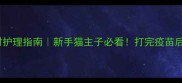 疫苗后黄金24小时护理指南新手猫主子必看打完疫苗后这些坑千万别踩