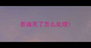 泰迪死了怎么处理
