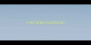 小狗打疫苗什么样的好处
