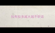拉布拉多越大越不听话