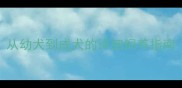 拉布拉多成长时间表从幼犬到成犬的详细饲养指南附各阶段养护要点