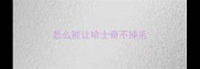 怎么能让哈士奇不掉毛