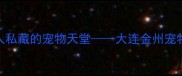 大连必去本地人私藏的宠物天堂大连金州宠物交易市场全攻略