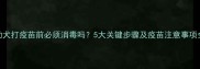 幼犬打疫苗前必须消毒吗5大关键步骤及疫苗注意事项全