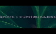 狗狗成长阶段全3-12月龄发育关键期与成犬标准判定指南
