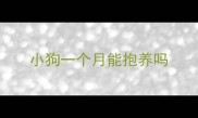 小狗一个月能抱养吗