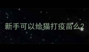 新手可以给猫打疫苗么