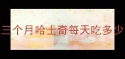 三个月哈士奇每天吃多少