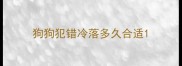 狗狗犯错冷落多久合适