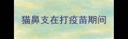 猫鼻支在打疫苗期间