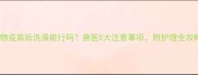 宠物疫苗后洗澡能行吗兽医5大注意事项附护理全攻略