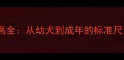拉布拉多犬身高全从幼犬到成年的标准尺寸及测量方法