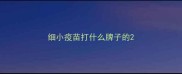 细小疫苗打什么牌子的