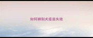 如何辨别犬疫苗失效