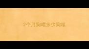 2个月狗喂多少狗粮