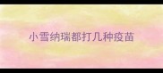 小雪纳瑞都打几种疫苗