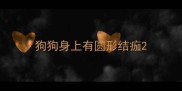 狗狗身上有圆形结痂