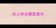 哈士奇去哪里磨牙