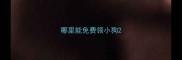 哪里能免费领小狗