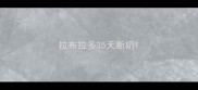 拉布拉多35天断奶