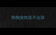 狗狗突然尿不出尿