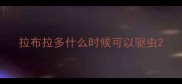 拉布拉多什么时候可以驱虫