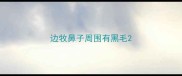 边牧鼻子周围有黑毛