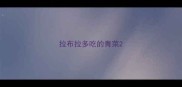 拉布拉多吃的青菜