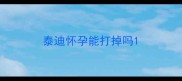 泰迪怀孕能打掉吗