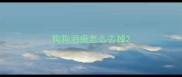 狗狗泪痕怎么去掉