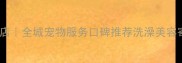 潍坊派多格宠物店全城宠物服务口碑推荐洗澡美容寄养一站式解决