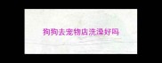 狗狗去宠物店洗澡好吗
