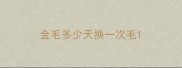 金毛多少天换一次毛