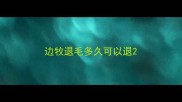 边牧退毛多久可以退