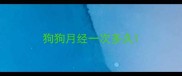 狗狗月经一次多久